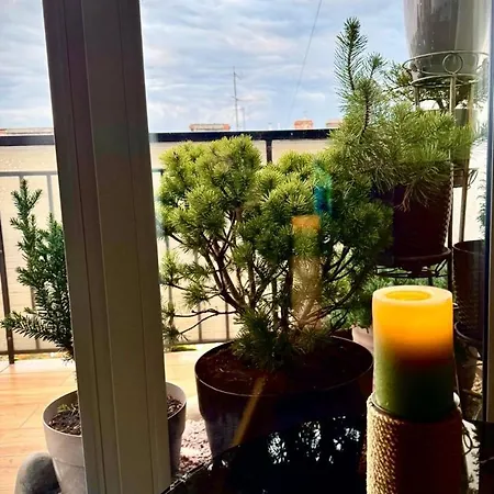 “u Prawnika” * לבוב