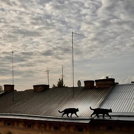 Apartmán “u Prawnika” *