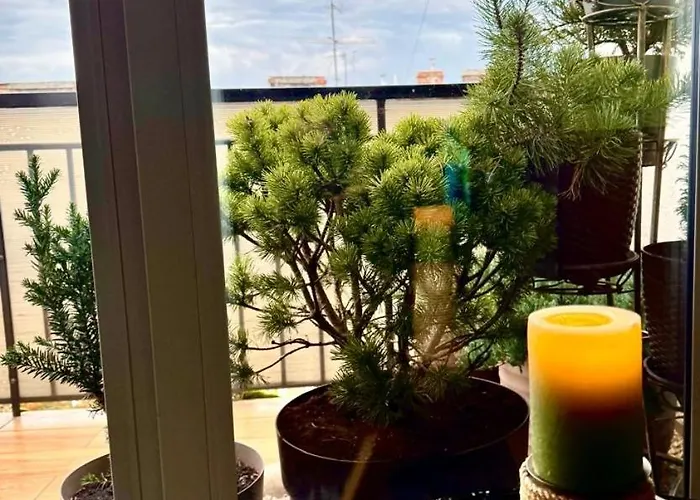 “u Prawnika” * إلفيف