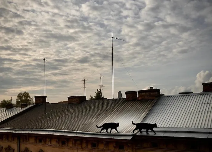 Апартаменты “u Prawnika” *