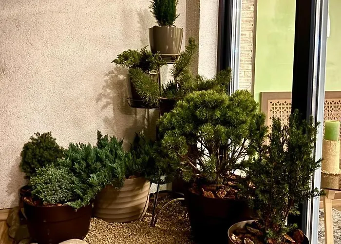 Apartamento “u Prawnika”